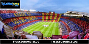 Football Pitch Nơi Quyết Định Cục Diện Mọi Trận Đấu