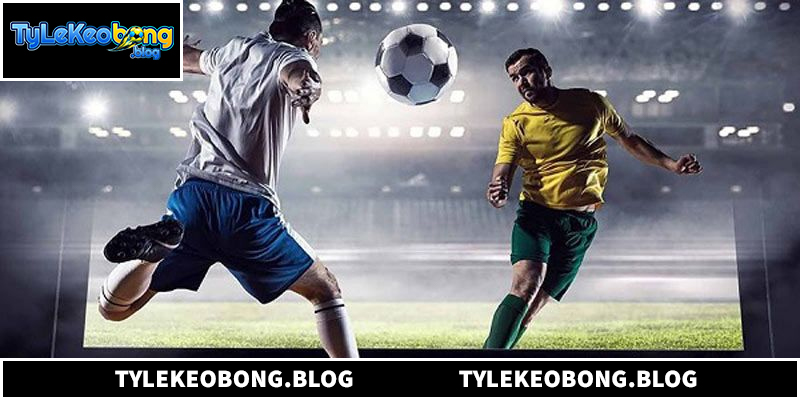 Giới thiệu chi tiết nền tảng Tỷ lệ kèo