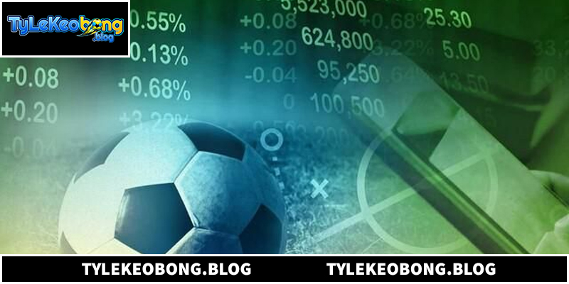 Lý do nhiều người lựa chọn Tỷ lệ kèo
